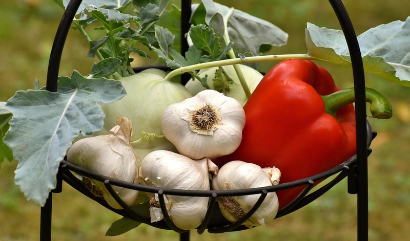 Farmers Market